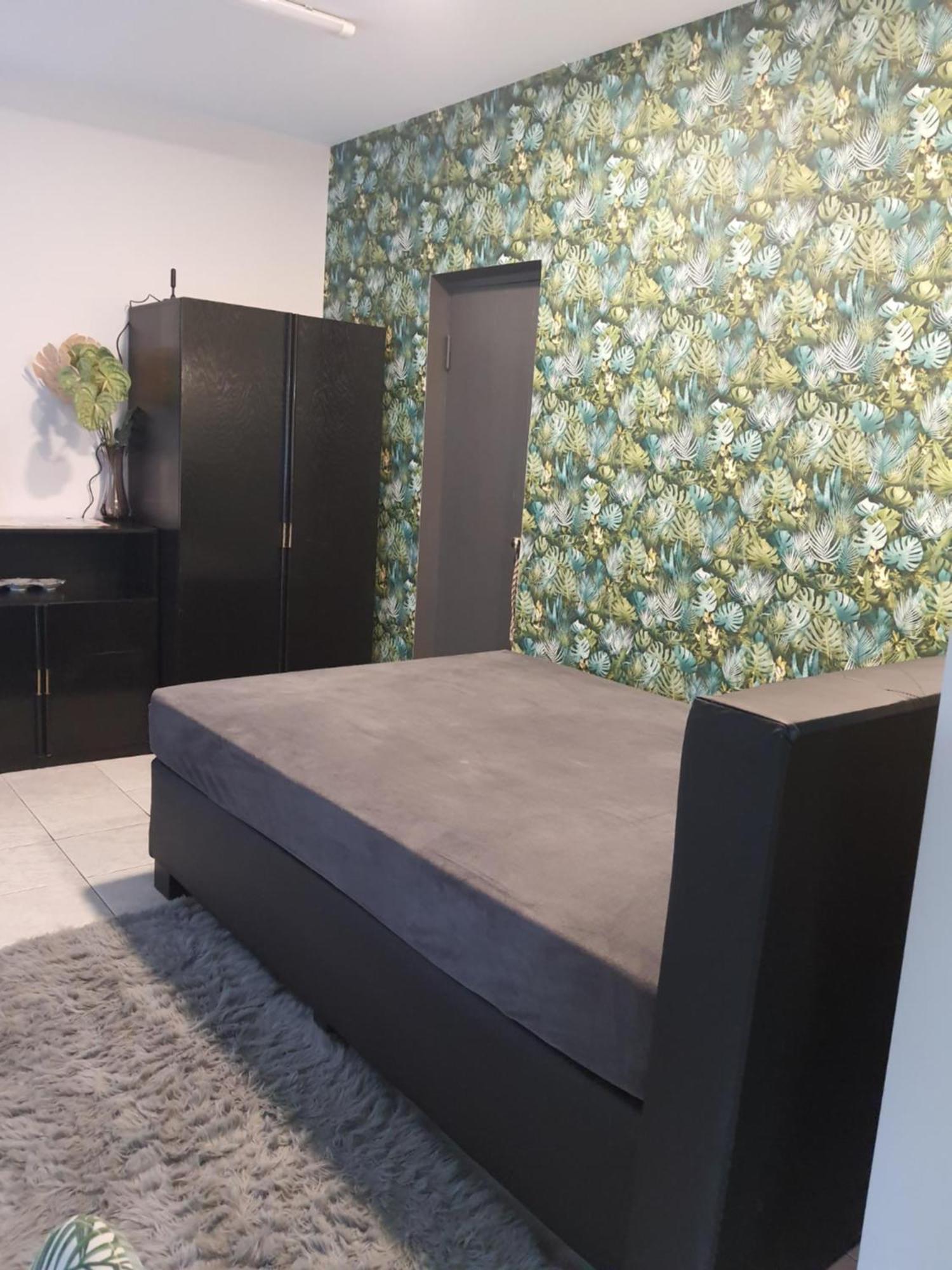 Jaukus Ir Kokybiskas Butas Panevezio Centre Apartment Panevėžys Екстериор снимка